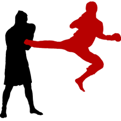 Savate Boxe Française